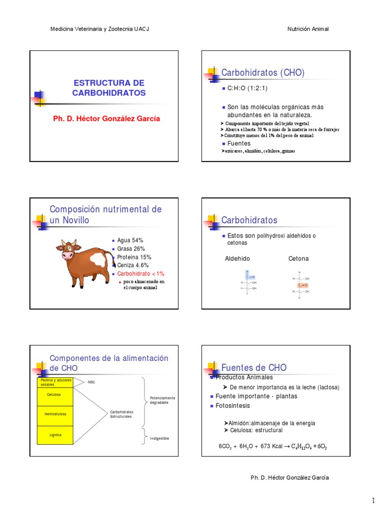 Carbohidratos Estructura Pdf Carbohidratos Compuestos Químicos