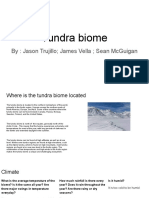 Tundra Biome Presentation