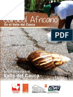 Cartilla Caracol Africano Baja