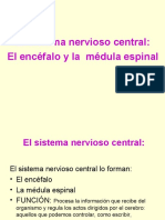 Biología (Sistema Nervioso Central)