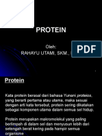 Protein Ok