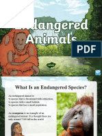 t2 T 1058 Endangered Animals Activity Powerpoint English Ver 2
