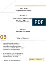 Short-Term Memory and Working Memory: PSYC 5140 Cognitive Psychology