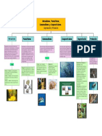 Mutualismo, Parasitismo, Comensalismo y Cooperativismo.