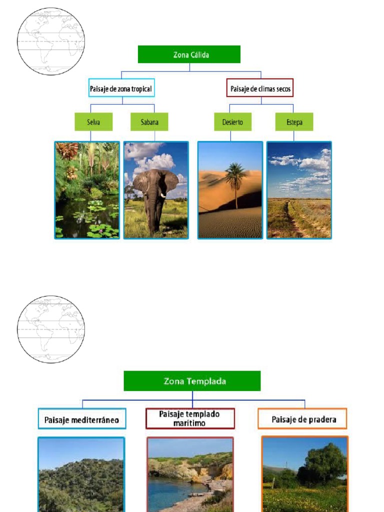 Zonas Climáticas: Tropical y Templada | PDF | Ecuador | Zona tropical