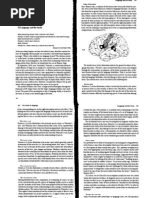 Download Language and the Brain by api-3716467 SN6643068 doc pdf