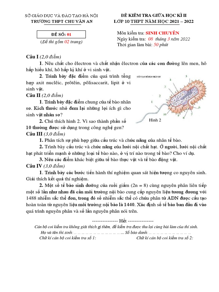 HDC SINH 10CHUYEN - THI GI A HKII CT | PDF
