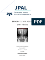 Tuberculosis Renal