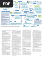 Steroid Pathways Chart Ref051021