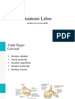 Anatomi Leher
