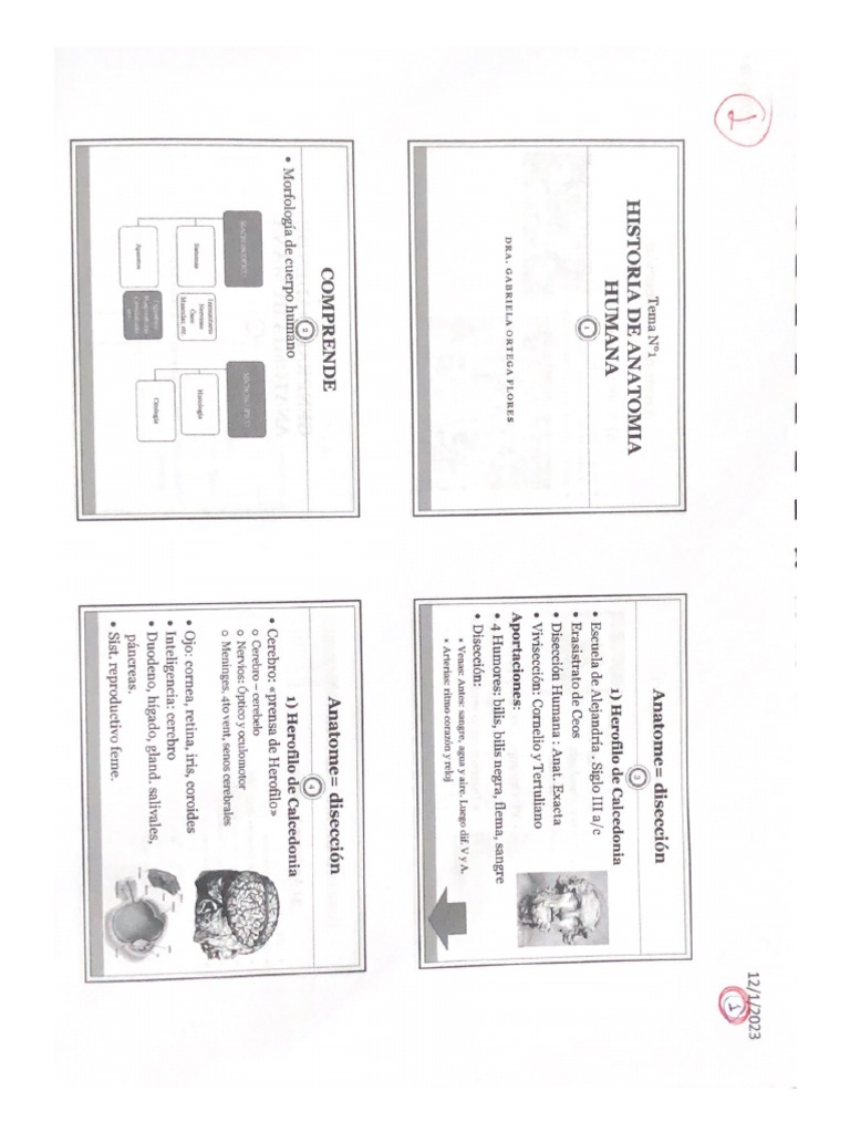 Historia de Anatomia | PDF