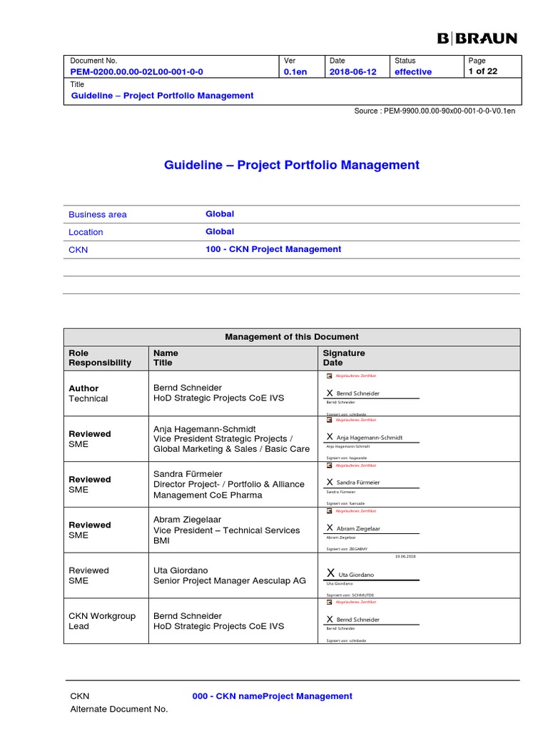 Project Portfolio Management Guidelines | PDF | Finance & Money Management