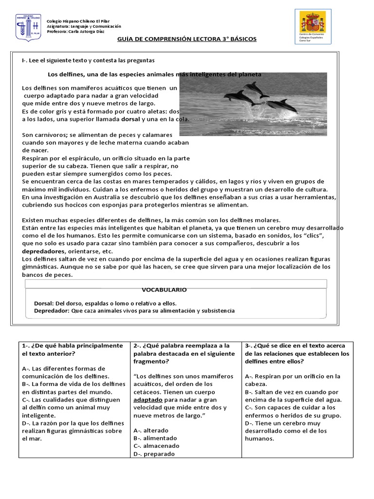 Guia 4, Lenguaje, 3° Básicos A-B-C | Descargar gratis PDF | Organismos