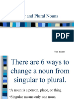 32120 Singular and Plural Nouns