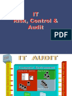 IT Risk Control and Audit