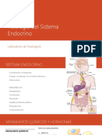 Fisiología Del Sistema Endocrino