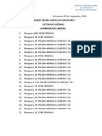 INFORME PRUEBA HIDRÁULICA