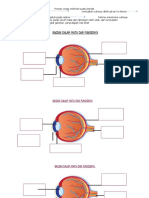 Bagian Dalam Mata Dan Fungsinya