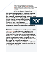 Proteínas: Que Recubre y Delimita A Las