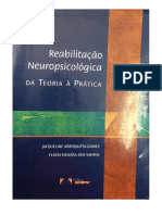 Reabilitacao_Neuropsicologica_-_Da_Teoria_a_Pratica_-_Mod_1_C