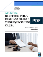 Apunte Derecho Civil V F.O.E.