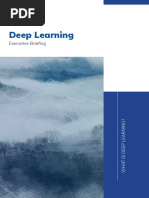 Playbook Executive Briefing Deep Learning