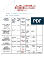 Planilla de Informe de Proyecciones Avance Mensual