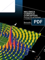 Mecánica Cuántica Conceptual - Propagación de Feynman