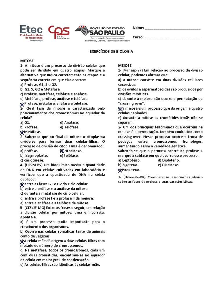 Exercícios sobre Mitose e Meiose | PDF | Meiose | Mitose
