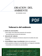 VALORACION  DEL AMBIENTE