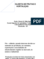 Tecnologia de Frutas e Hortaliças Pós colheita Aula 1 (1)