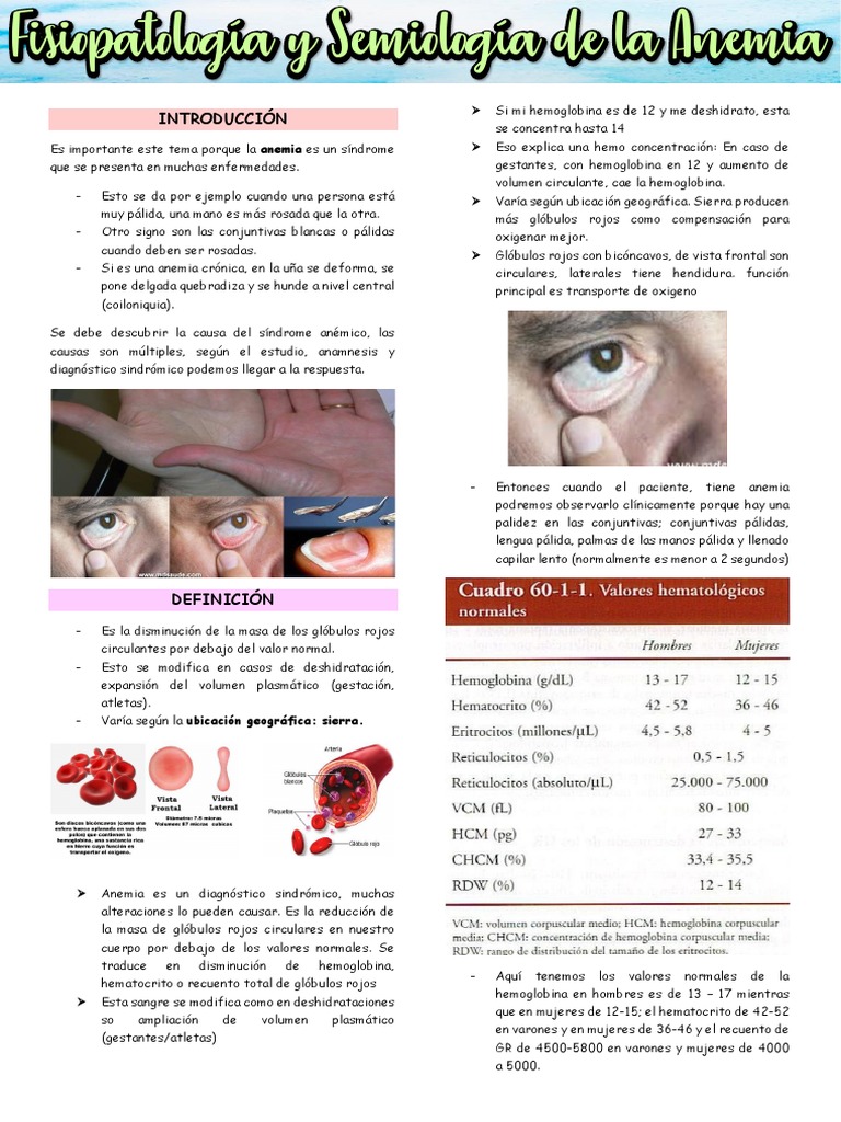 Causas y Diagnóstico de la Anemia | PDF | Anemia | Glóbulo rojo