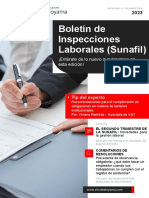 5.- Boletin Exlusivo Inspecciones de SUNAFIL 2023