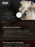 Guía Práctica de Extensiones de Pestañas | PDF | Salud y bienestar