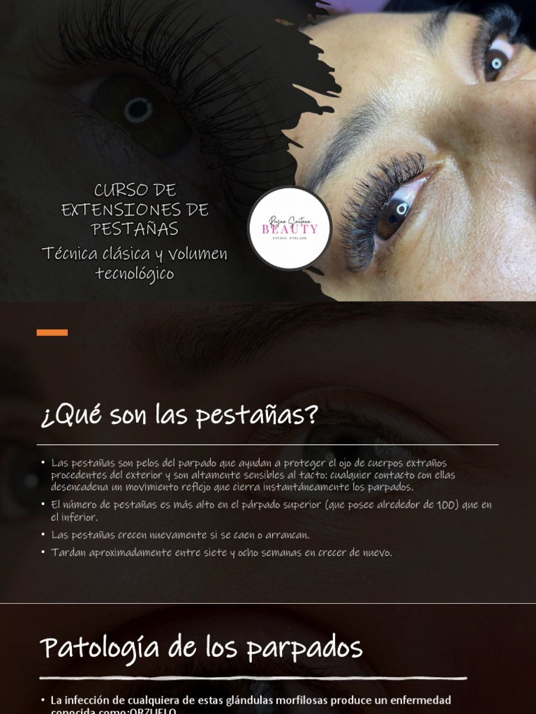 Curso de Extensiones de Pestañas 2024 | PDF
