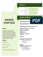 Naveed Shafique Resume