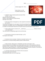 Blood & Immunity Worksheet