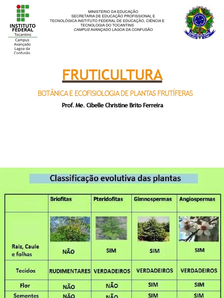 Estrutura e Frutificação de Plantas | PDF | Flores | Plantas