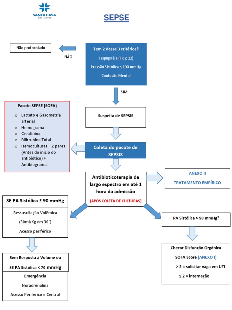 SEPSE | PDF
