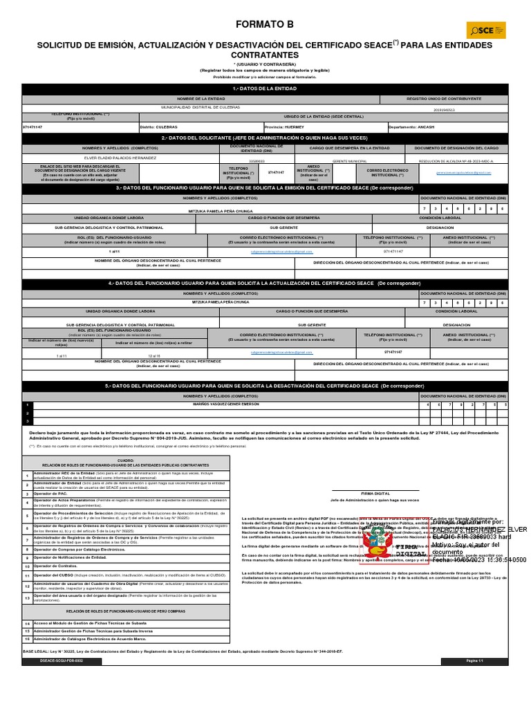 Formato B Osce | PDF