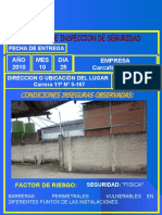 Presentacion Inspecciones de Seguridad