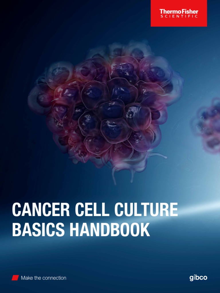 Cancer Cell Culture Basics Handbook PDF