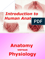 Lecture 01 Intro To Anatomy
