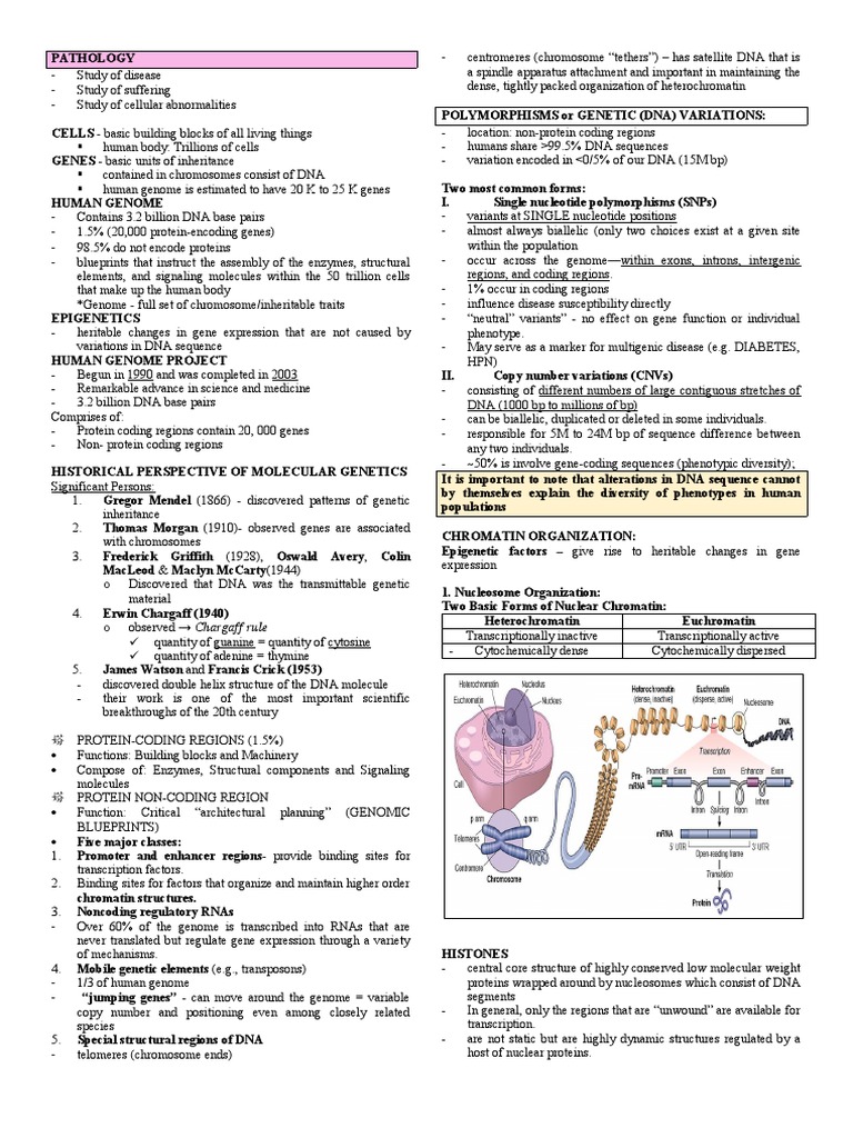 Trans 1 - Cells As A Unit of Health and Disease | PDF | Endoplasmic ...