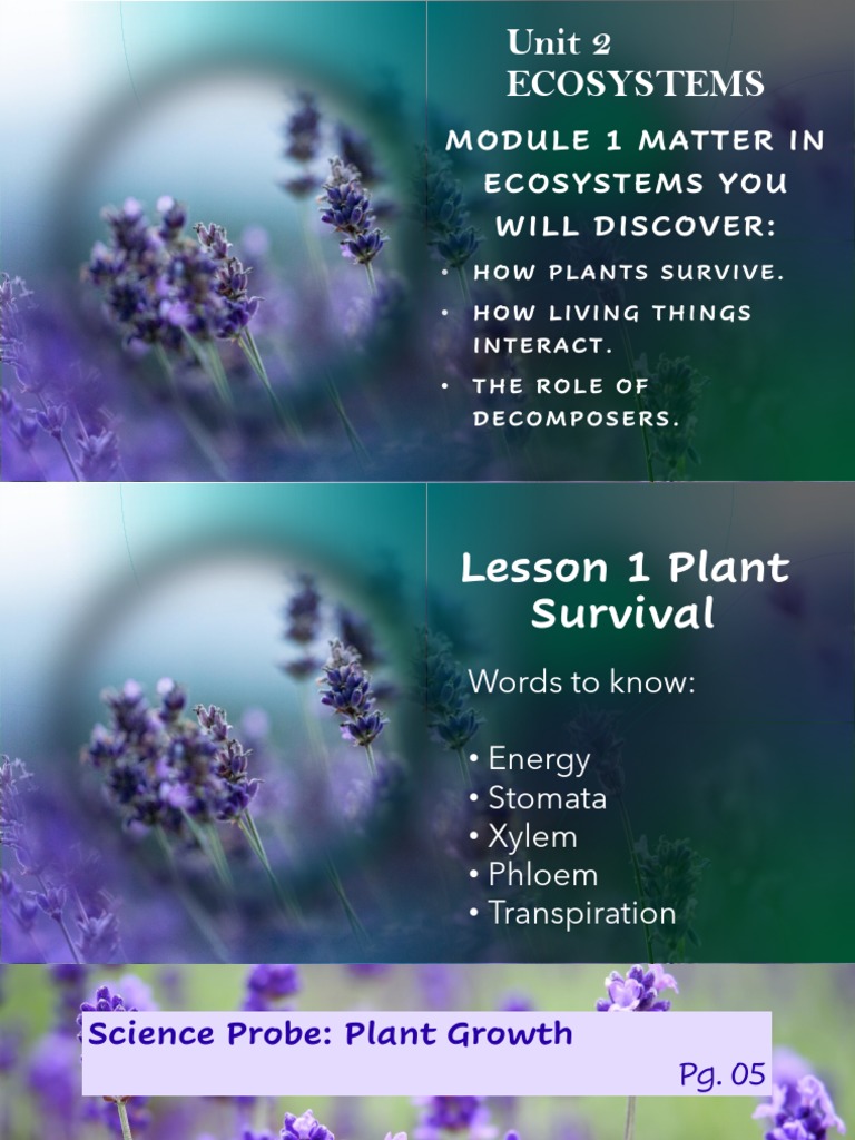 Unit+2+Module+1+Lesson+1+Plant+SurvivalSchoology | PDF