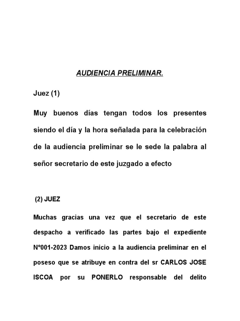 Audiencia Preliminar PDF