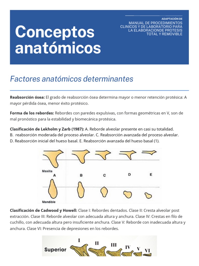 Generalidades de anatomía para el paciente edéntulo | PDF | Dentadura ...