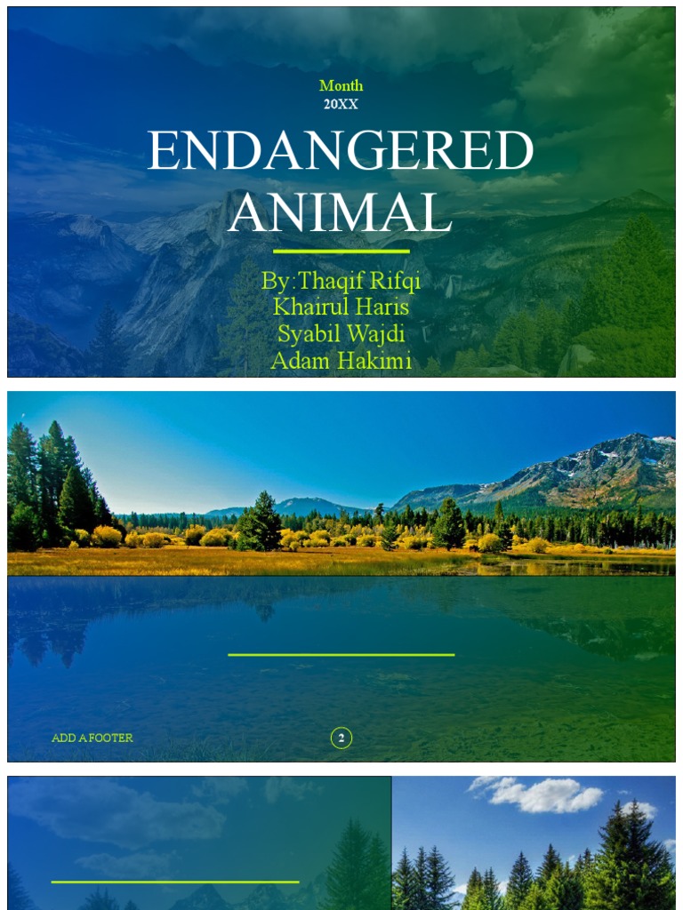 Endangered Animal | PDF