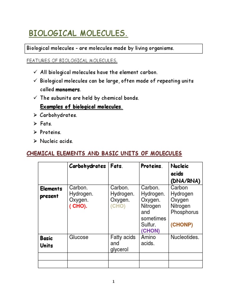 Biological Molecules PDF