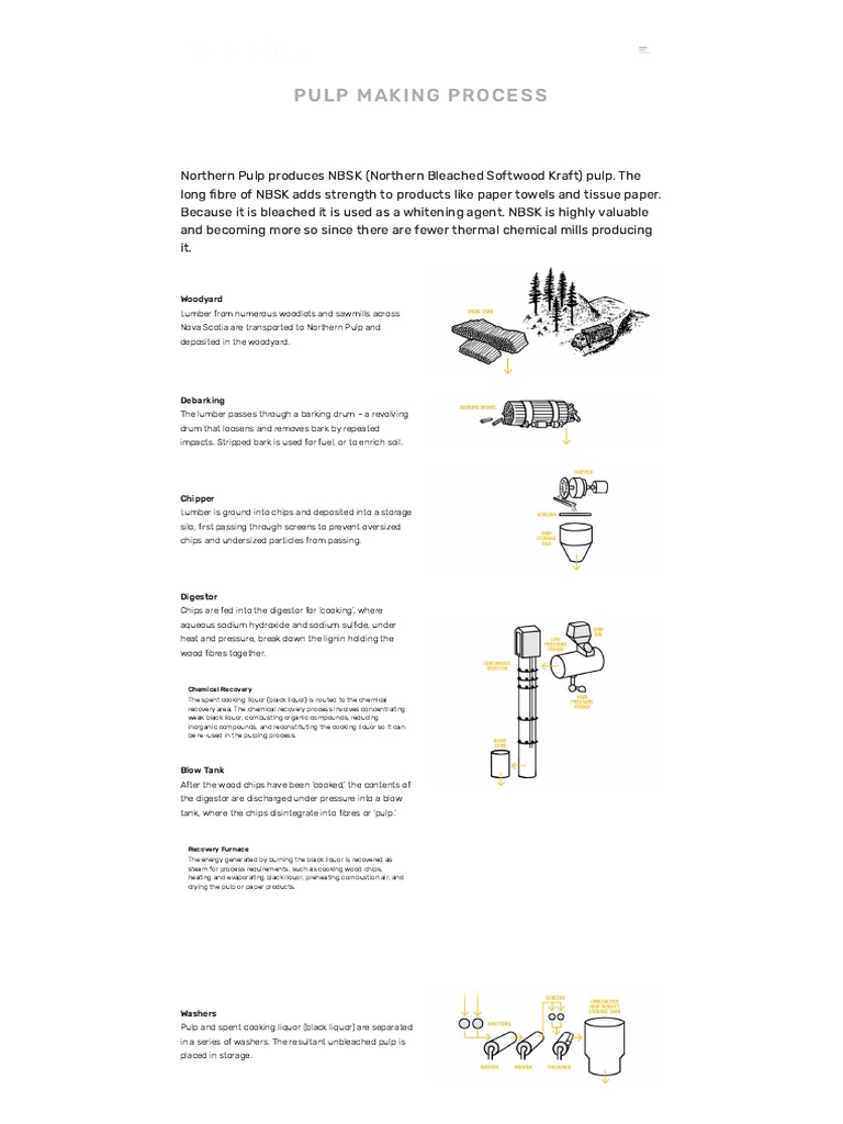 Pulp Making Process The Mill Pdf Pulp Paper Paper